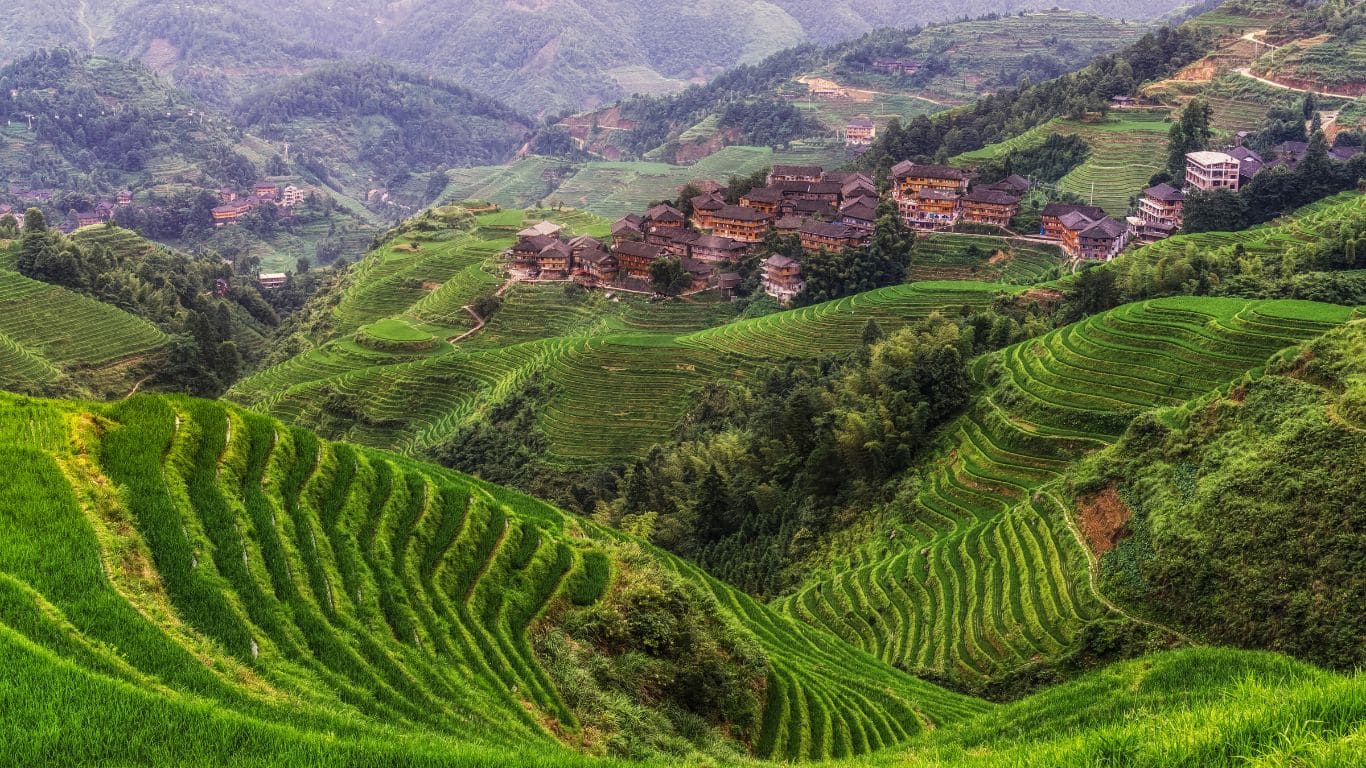 Panorámica terrazas de arroz de Longji