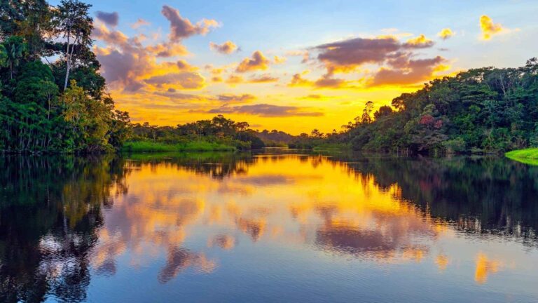 Atardecer en el amazonas