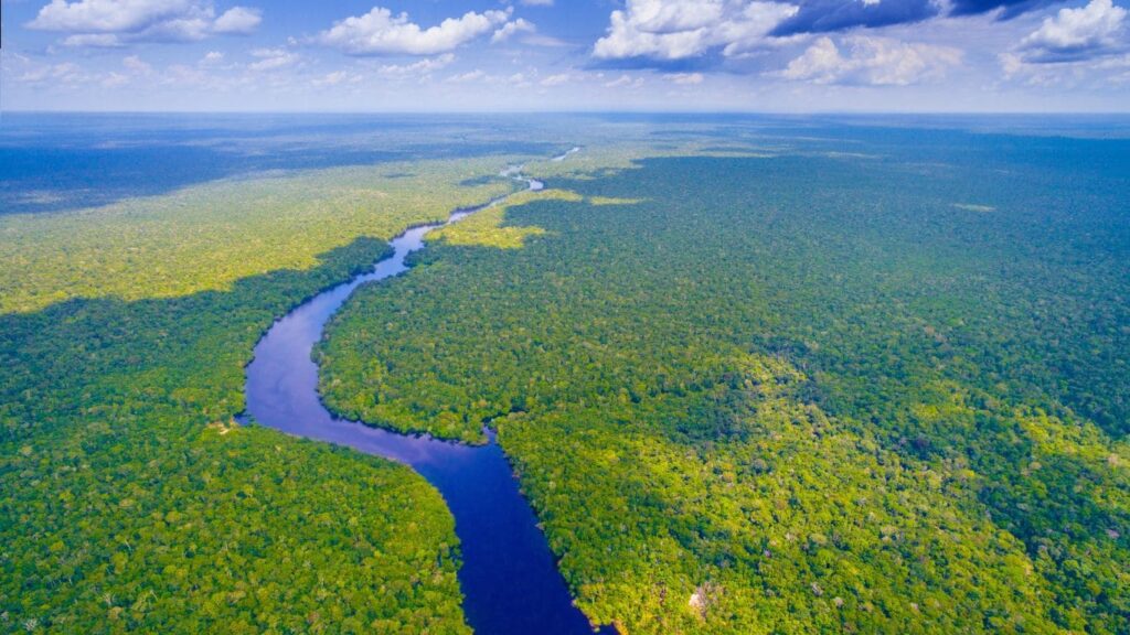 Río Amazonas vista de pájaro