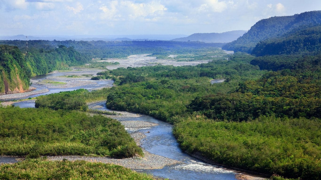 Panorámica Amazonia