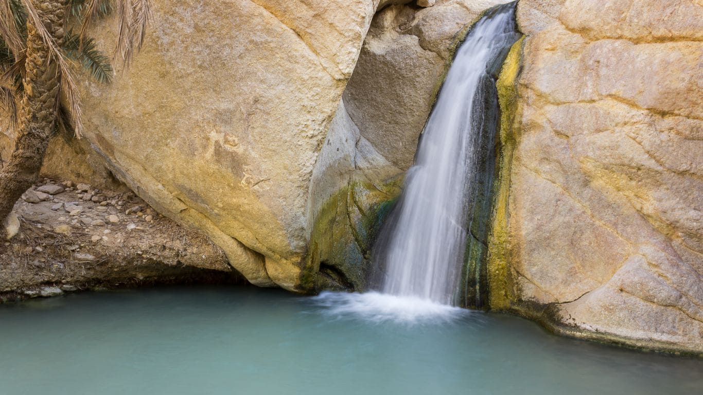 Fuente en la roza de Chebika