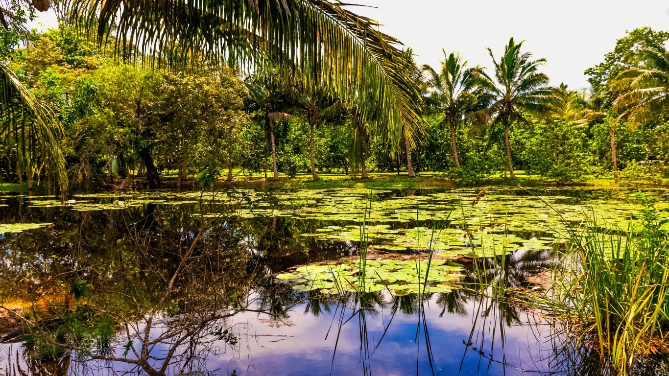 Ciénaga de Zapata, Cuba