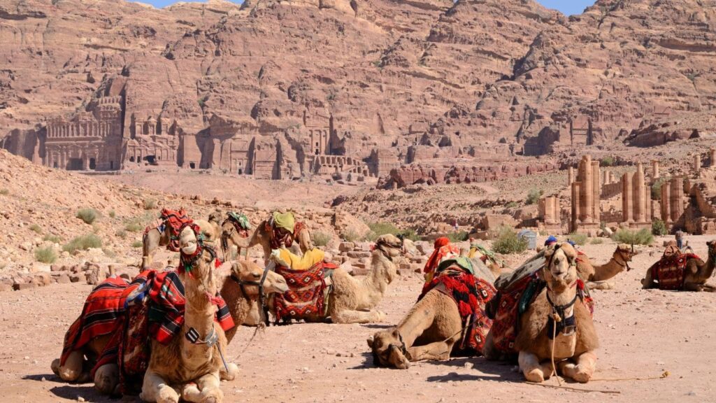 Vistas de toda la ciudad de Petra con camellos descansando