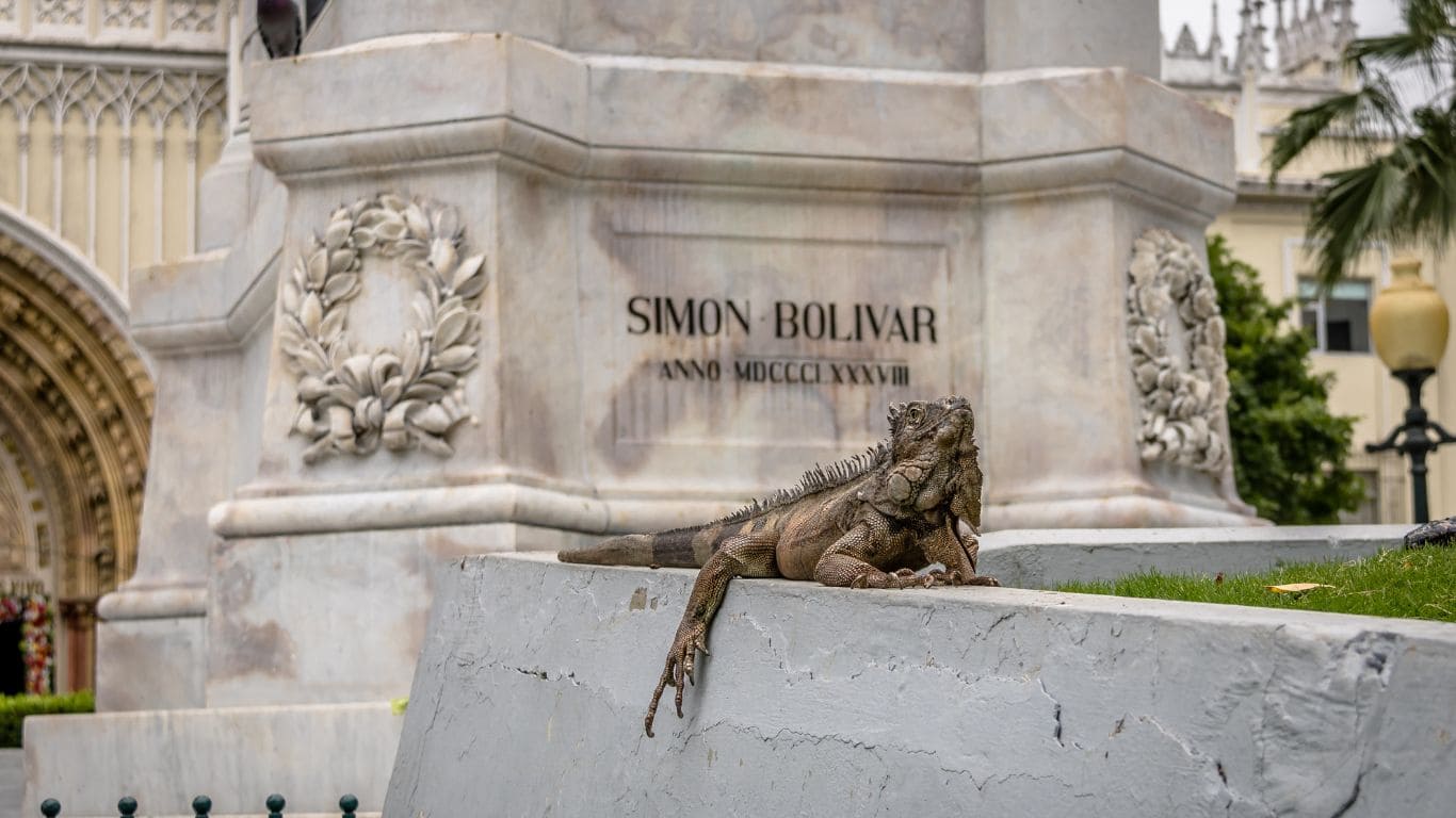 Iguana cerca del parque de las Iguanas en Guayaquil