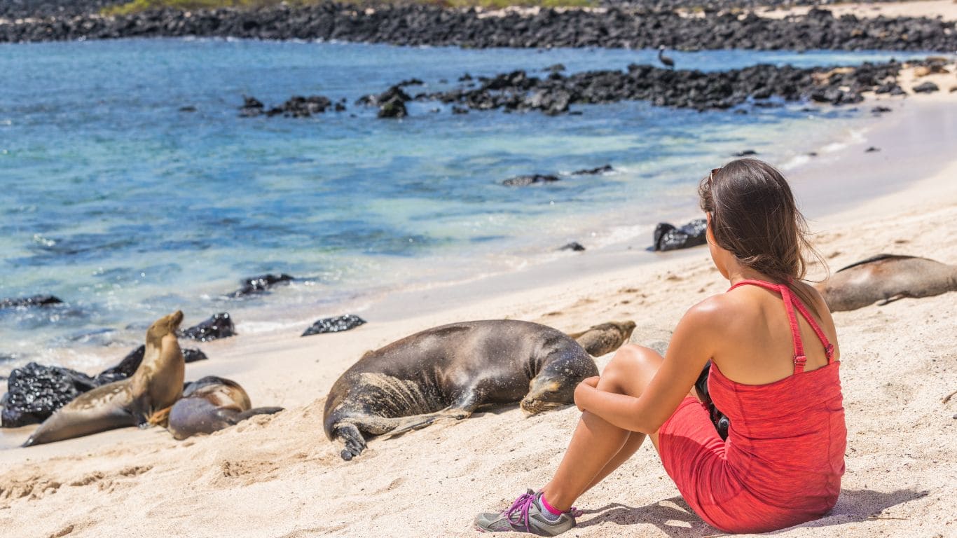 Chica observando a los Leones marinos en galápagos