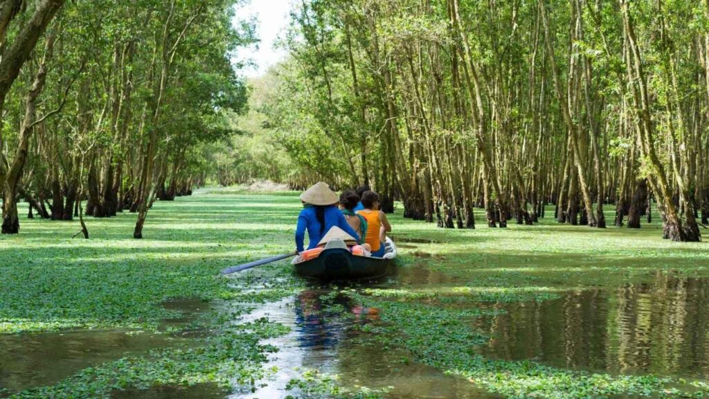 Paseo en embarcación típica del delta del Mekong