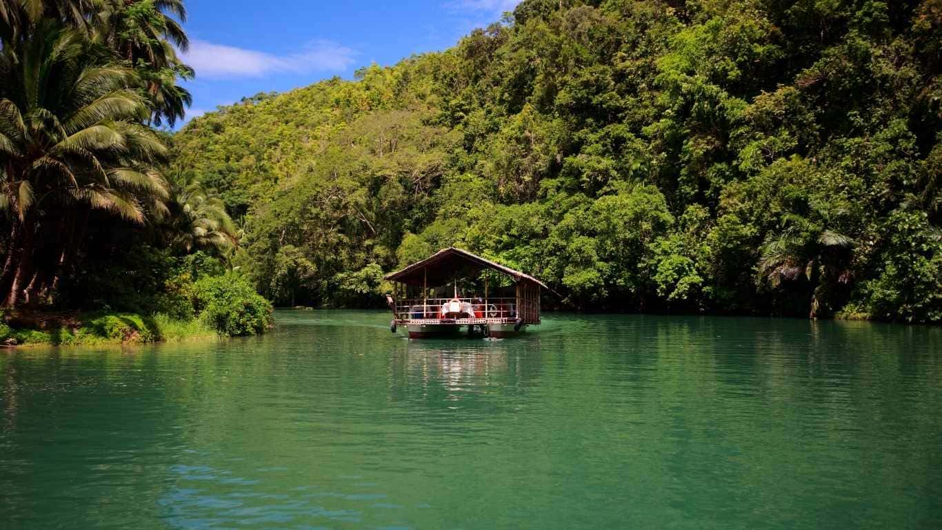Jungla de Bohol, Filipinas