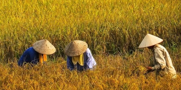 viaje a vietnam desde espana