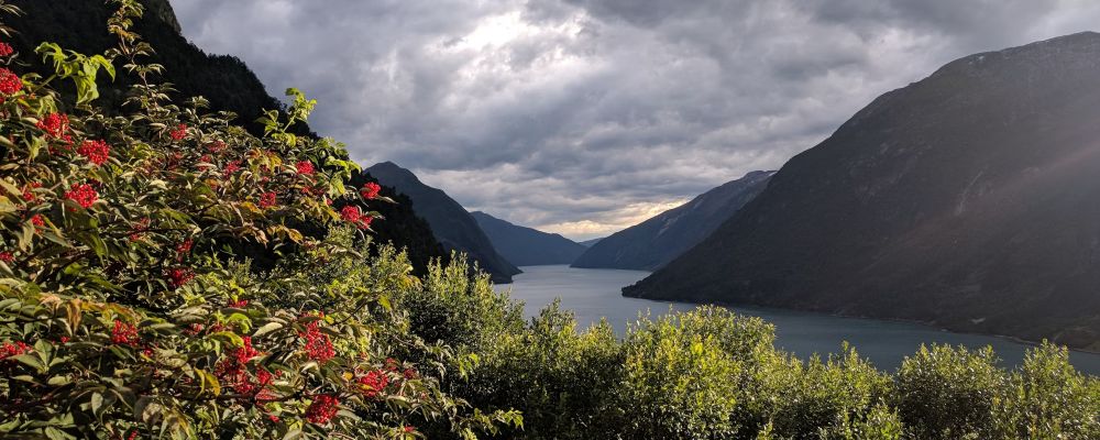 crucero fiordos noruega