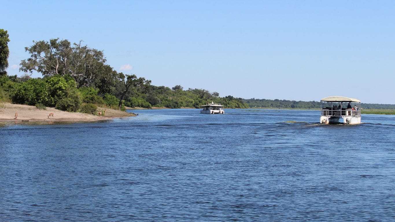 Safari en barco por el río