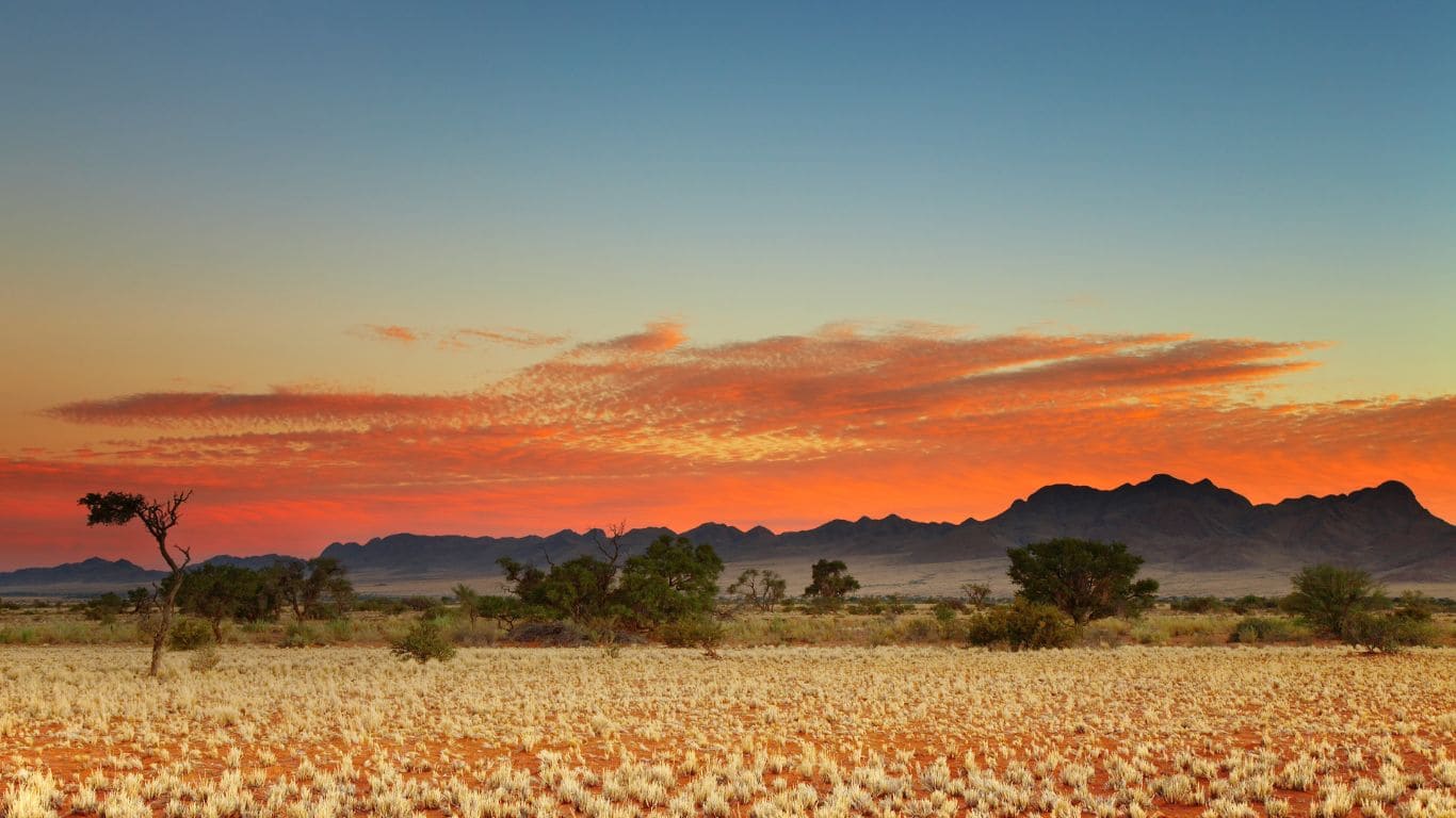 desierto de kalahari
