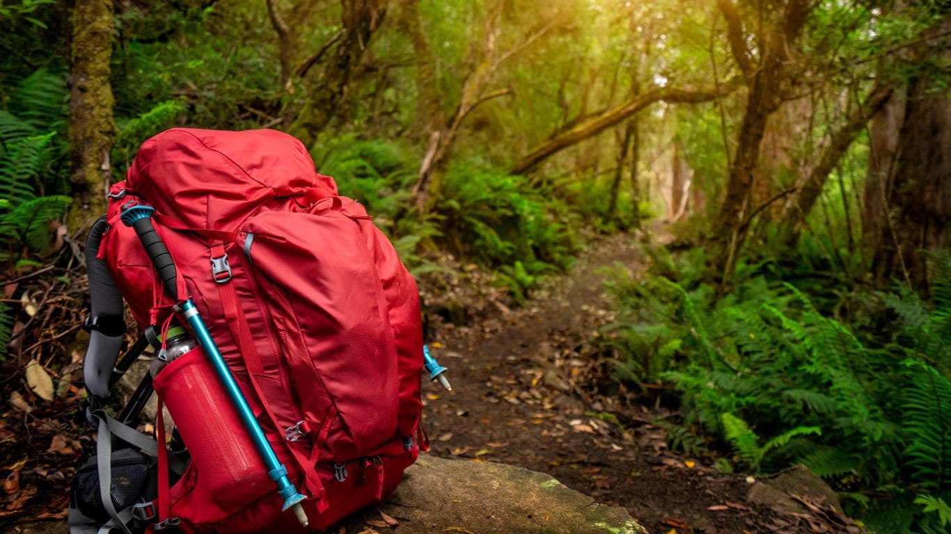 mochila para hacer caminatas en la selva