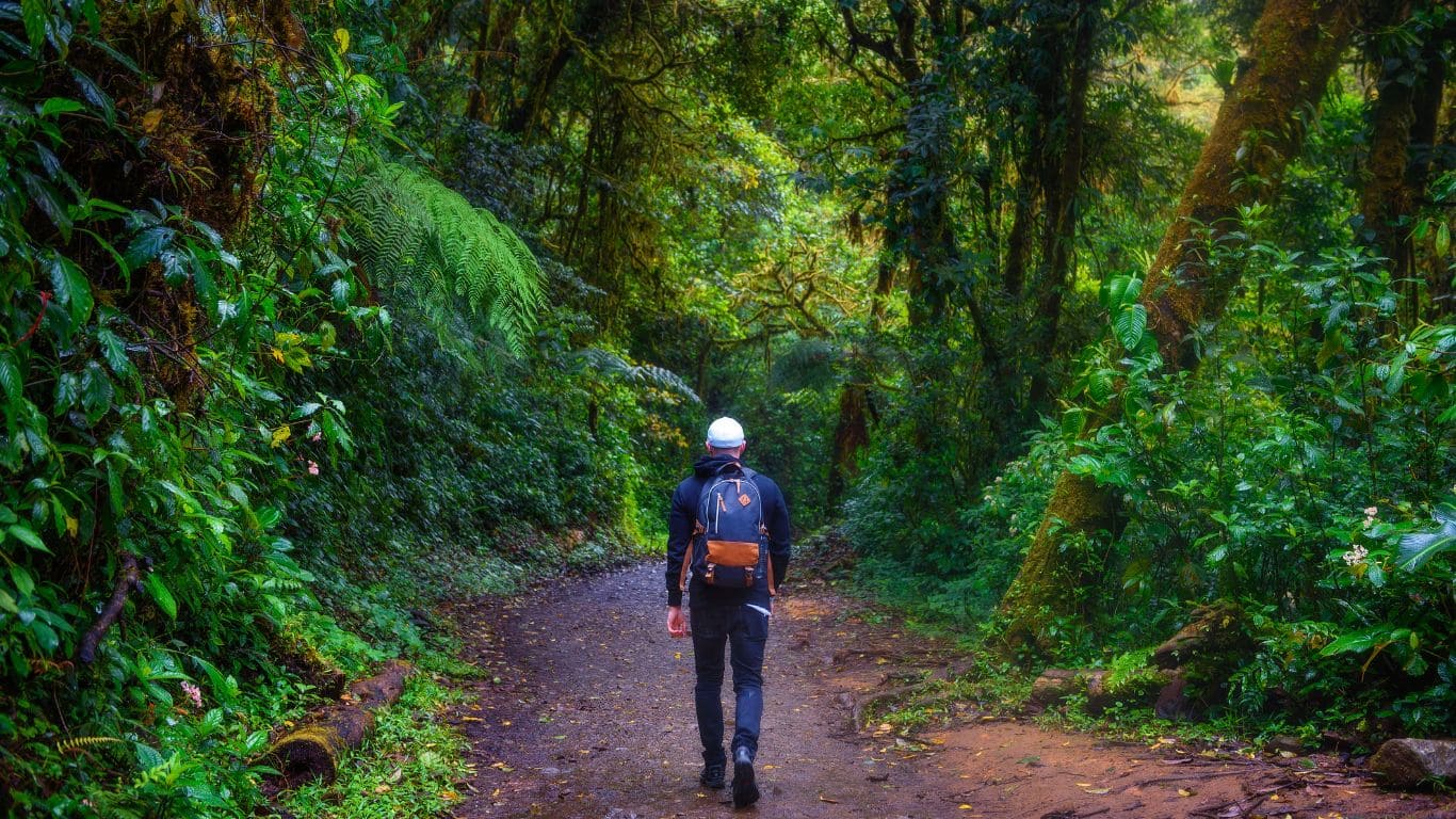 hike en monteverde