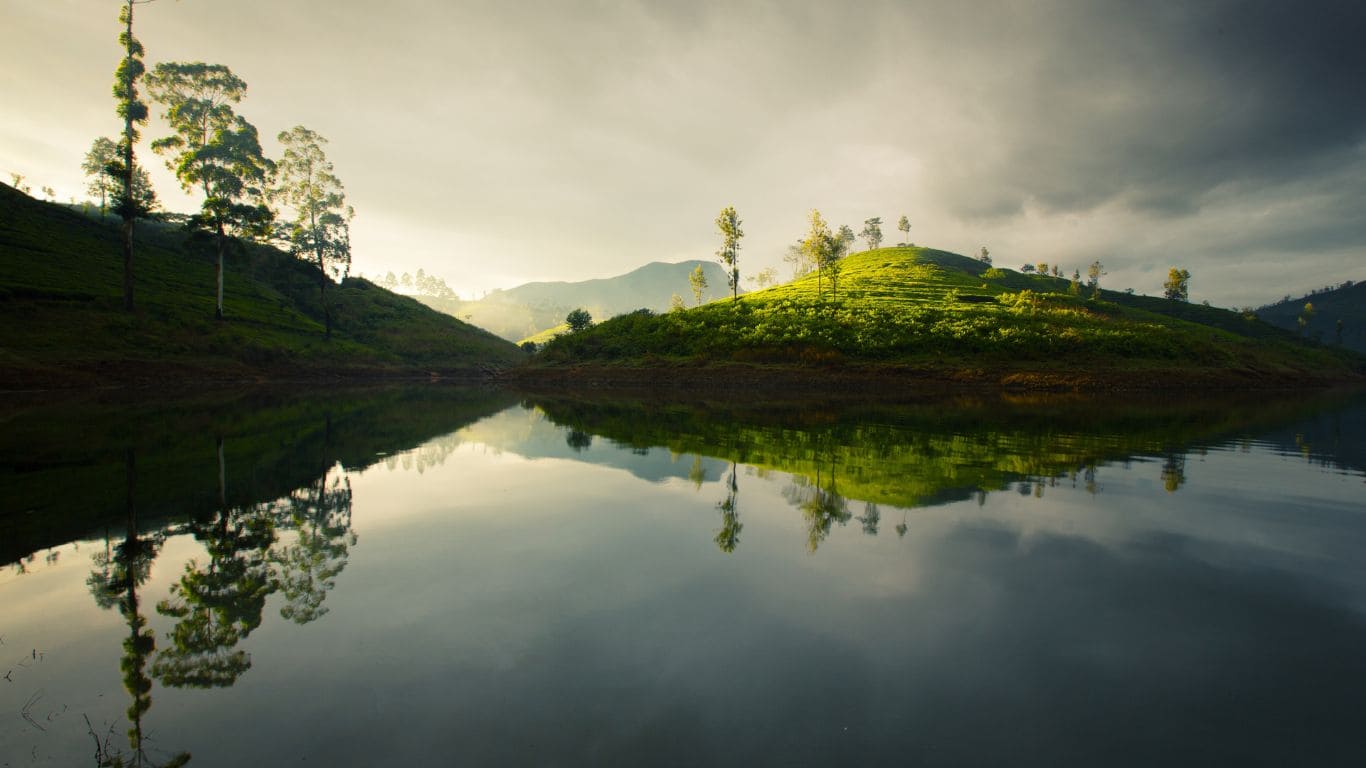 arrozales en sri lanka