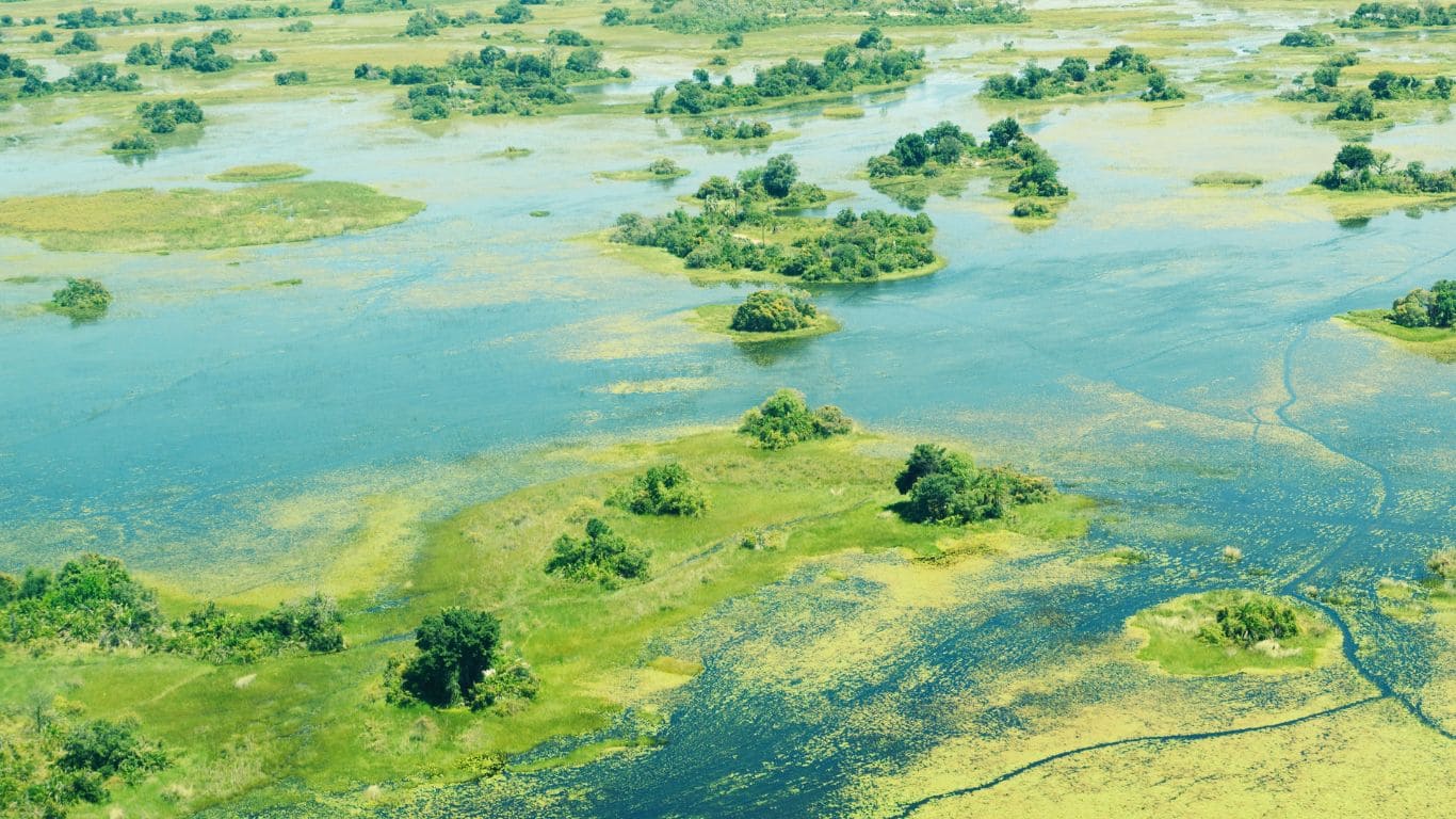 Temporada de lluvias en Okavango