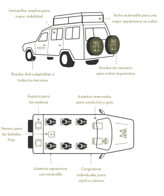 vehículo 4x4 safari
