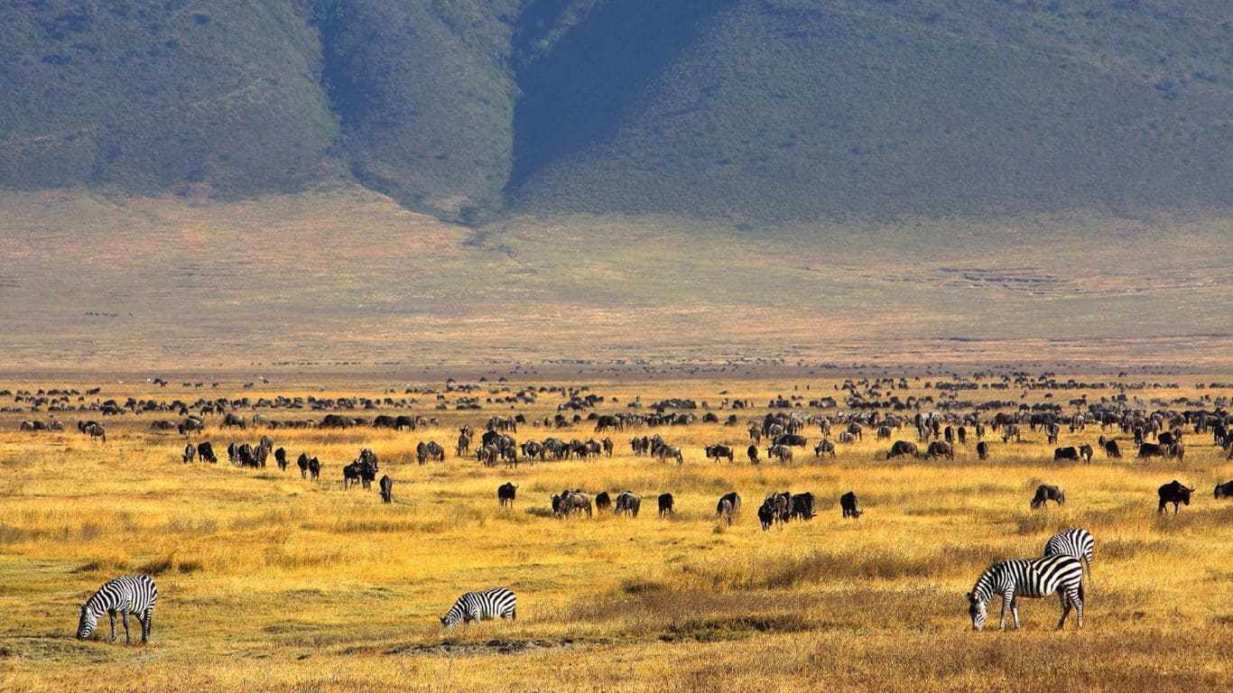 Parque nacional de Ngorongoro