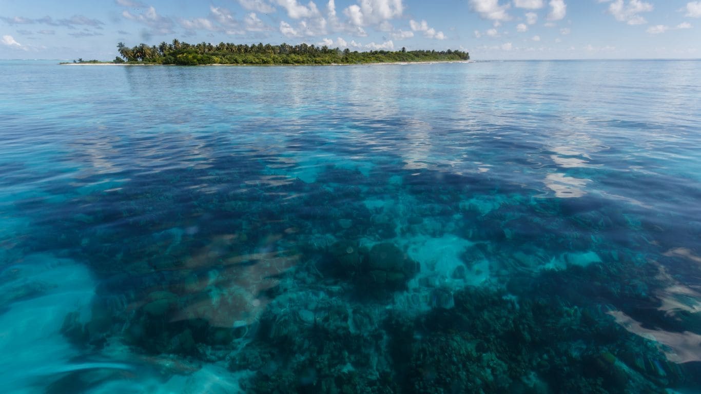 Reserva Marina de Hol Chan